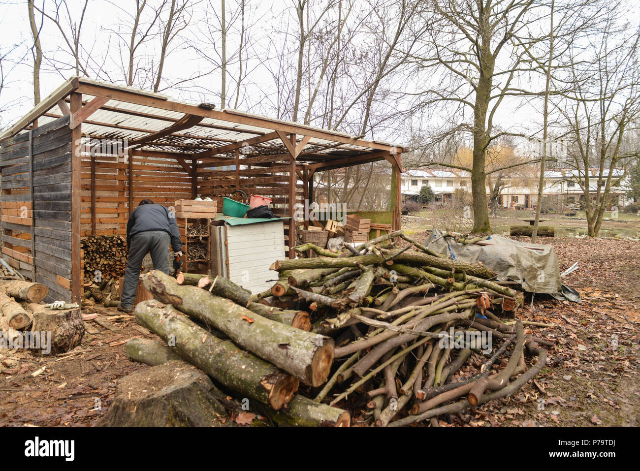 Western Piedmont, Northern Italy: inhabitant of an ecovillage splits the wood to keep warm during the winter Stock Photo