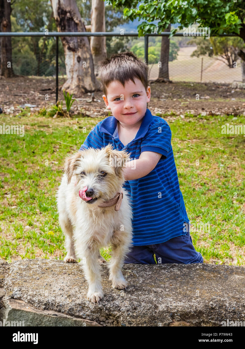 Small boy with his Jack Russel Terrier dog. Stock Photo