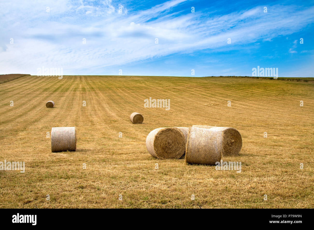 Rolled up hay bales in a field, South Downs National Park, UK Stock Photo