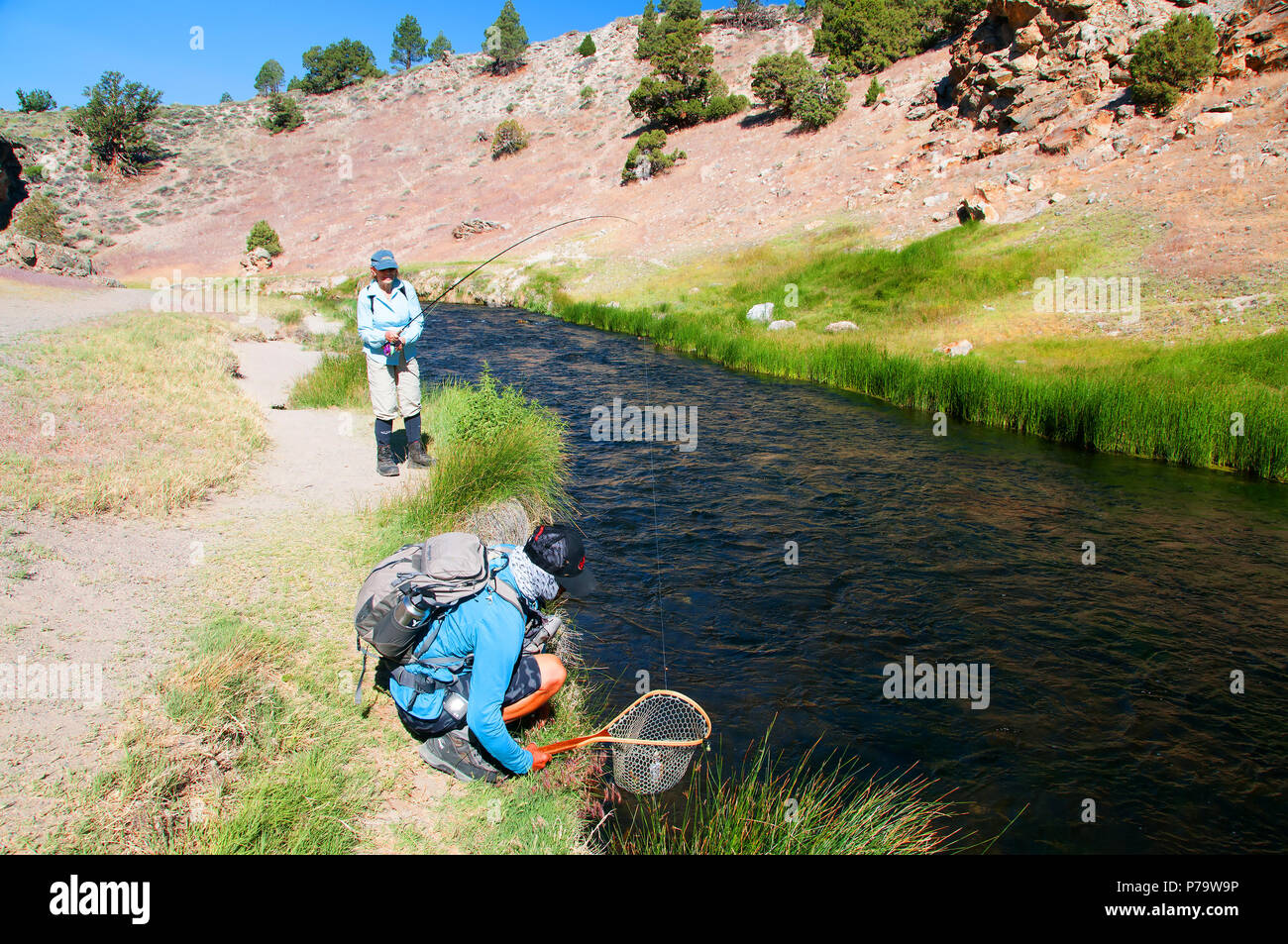 Beautiful little Hot Creek east of Mammoth Lakes yields lots of rainbow