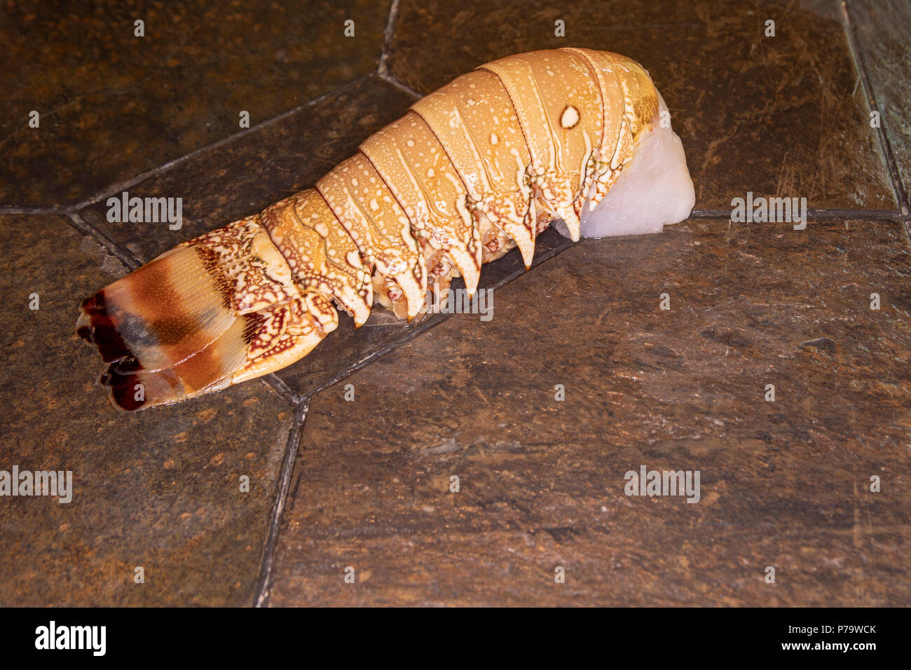Uncooked lobster tail hires stock photography and images Alamy