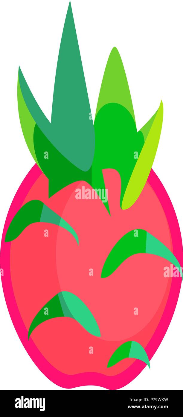 Dragon fruit or pitaya fruit vector in flat design style isolated Stock Vector