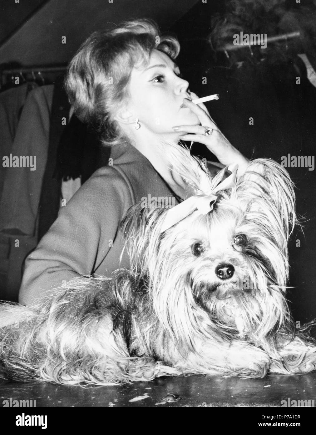 zsa zsa gabor with dog, 1960 Stock Photo - Alamy