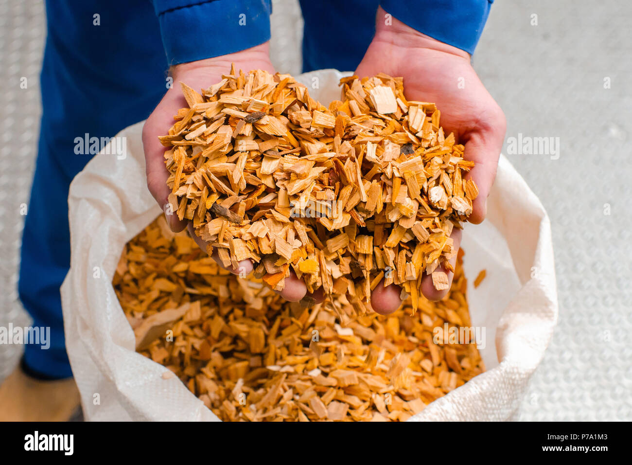 Wood chips. The line for the production of smoked delicacies