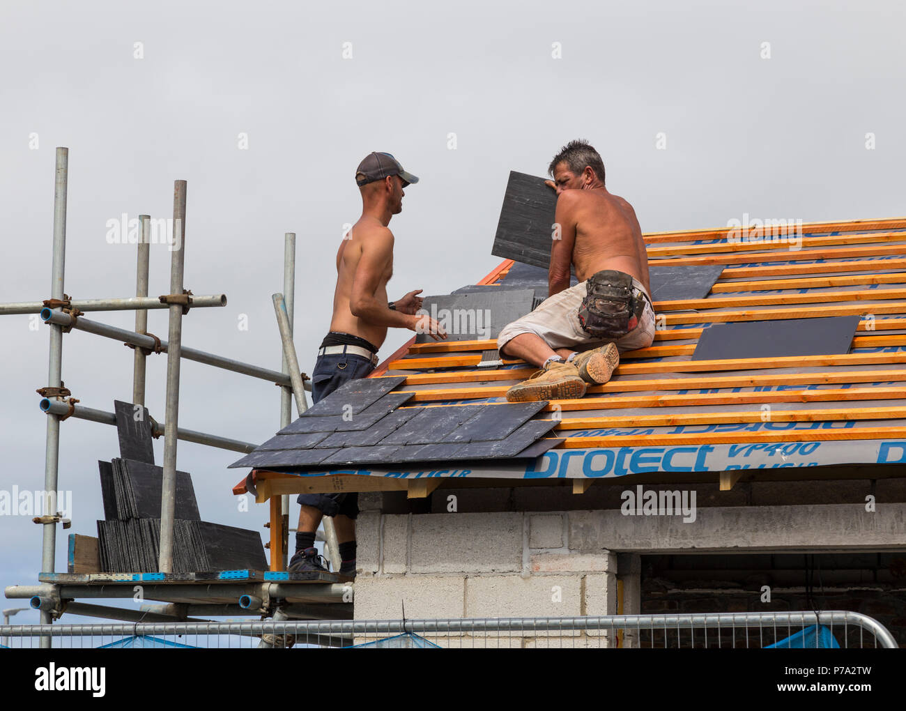 Roof Tilers Stock Photo