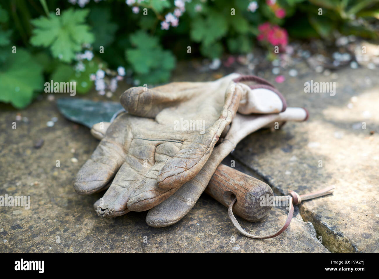 Leather gardening gloves and a wooden handled gardening trowel on a garden wall in Summer, UK. Stock Photo