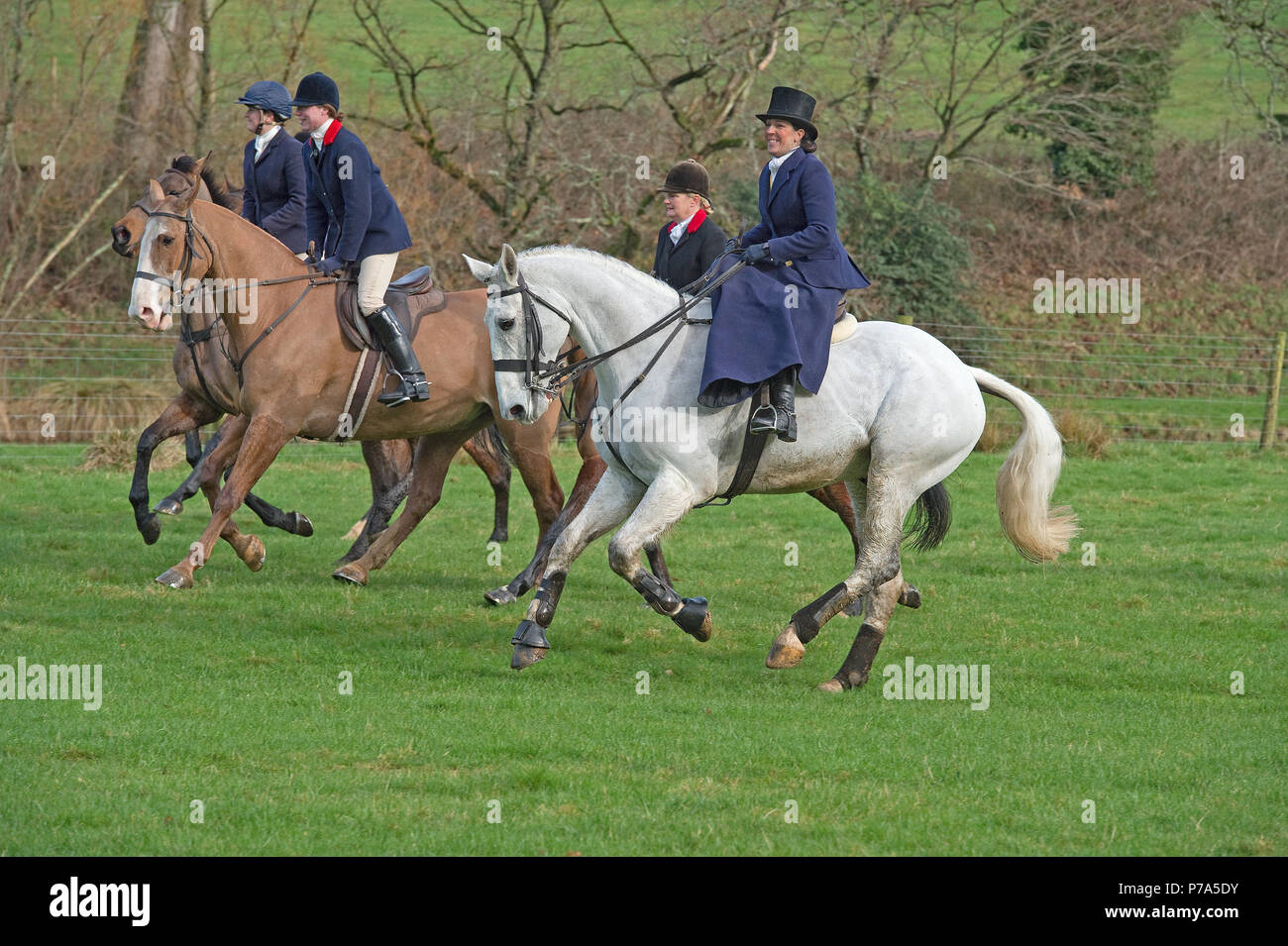 Sidesaddle hires stock photography and images Alamy