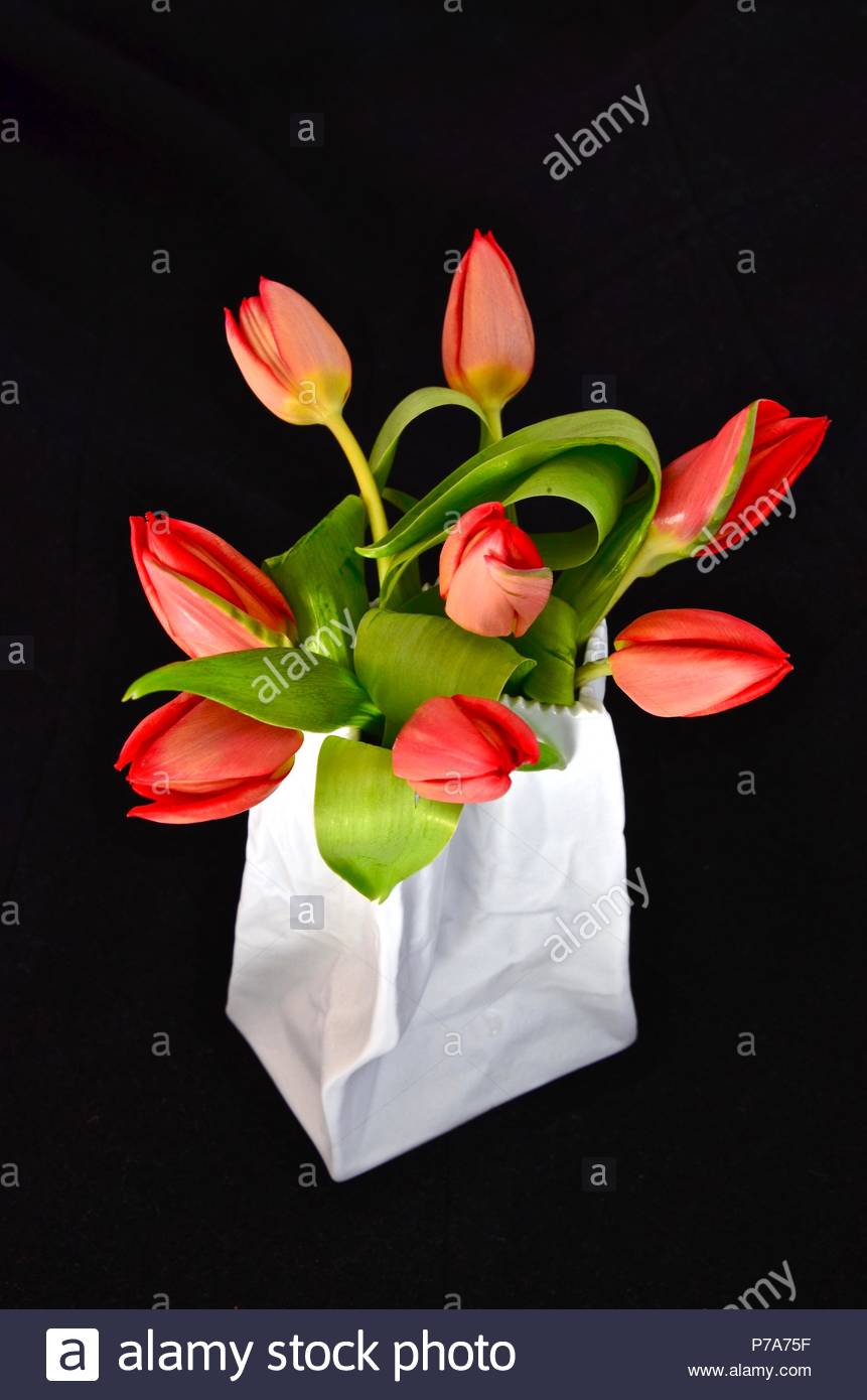 Why do women love flowers Why do women love flowers