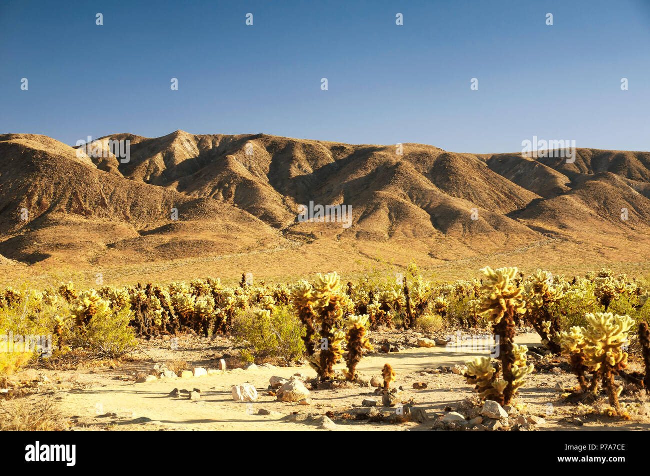 Pinto basin number 掛時計 298x48mm Pinto basin hi-res stock photography and images - Alamy