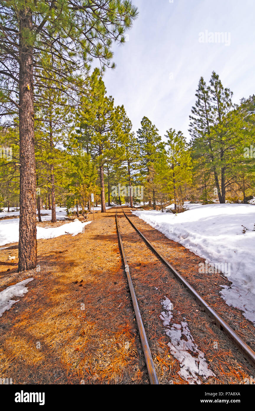 Define Siding Track at Mark Robinson blog