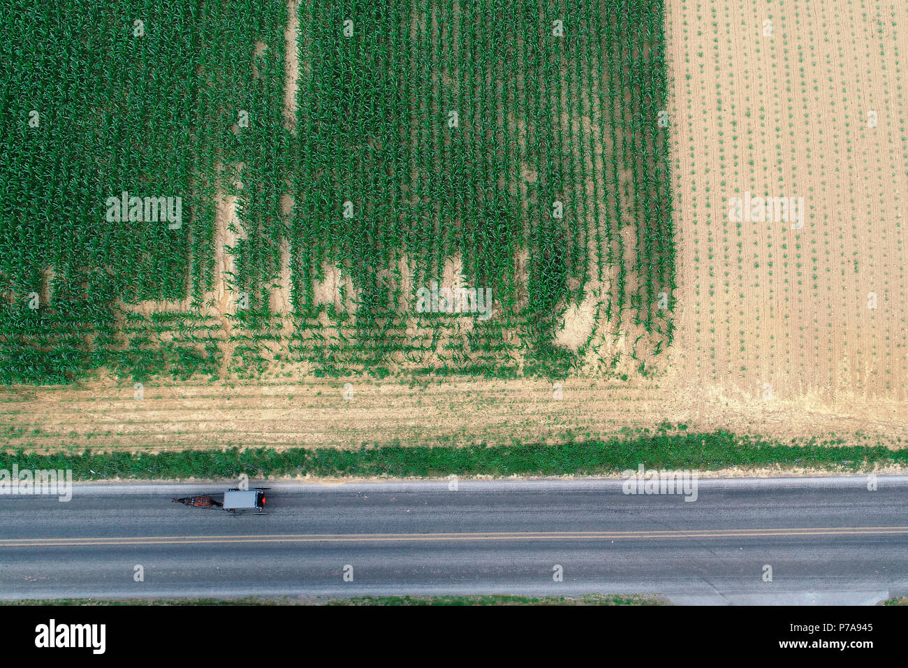 Aerial view of Amish horse and buggy on a road in Strasburg, Pennsylvania Stock Photo