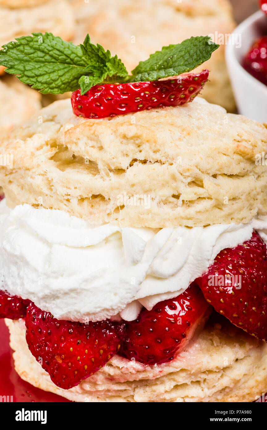 Strawberry dessert with biscuits and whipped cream Stock Photo Alamy