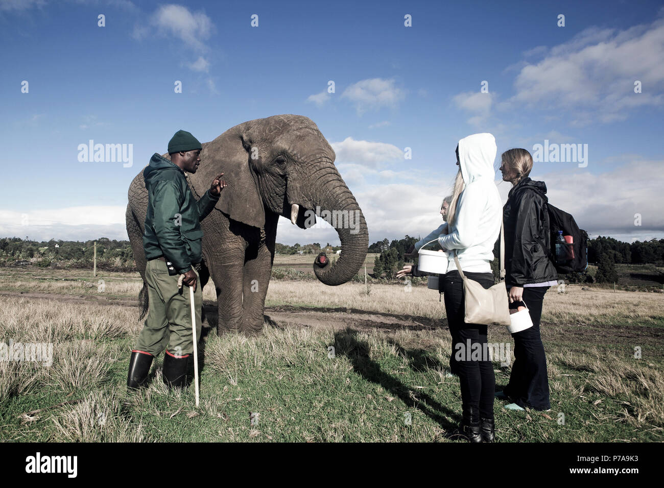 Guide speaking with young women Knysna elephant park, South Africa Stock Photo