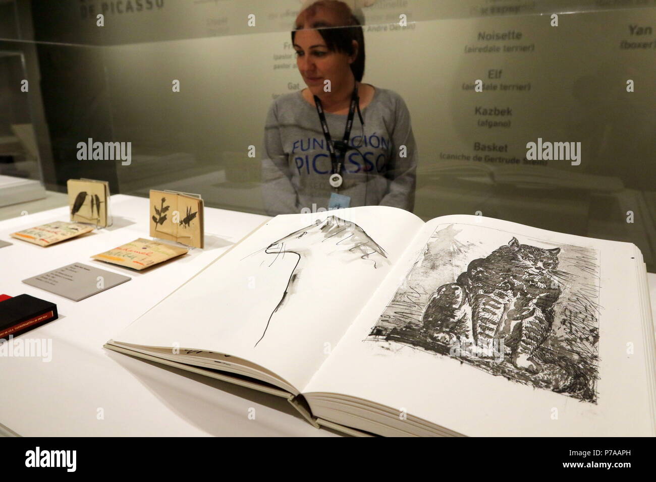 July 4, 2018 - July 4, 2018 (Malaga) The exhibition 'The Bestiary of Picasso' in the Birthplace of Pablo Ruiz Picasso. It consists of 54 works including drawings, illustrated books with original engravings, photographs, ceramics, lithographs, etchings and linocuts, among other techniques used by the painter from Malaga, which are part of the collections of the FundaciÃ³n Picasso Casa Natal.casso Museum in Malaga reveals the painter's relationship with animals.The bestiary of Picasso 'represents a selection of animals that went through the life of the artist and immortalized in hundreds of work Stock Photo