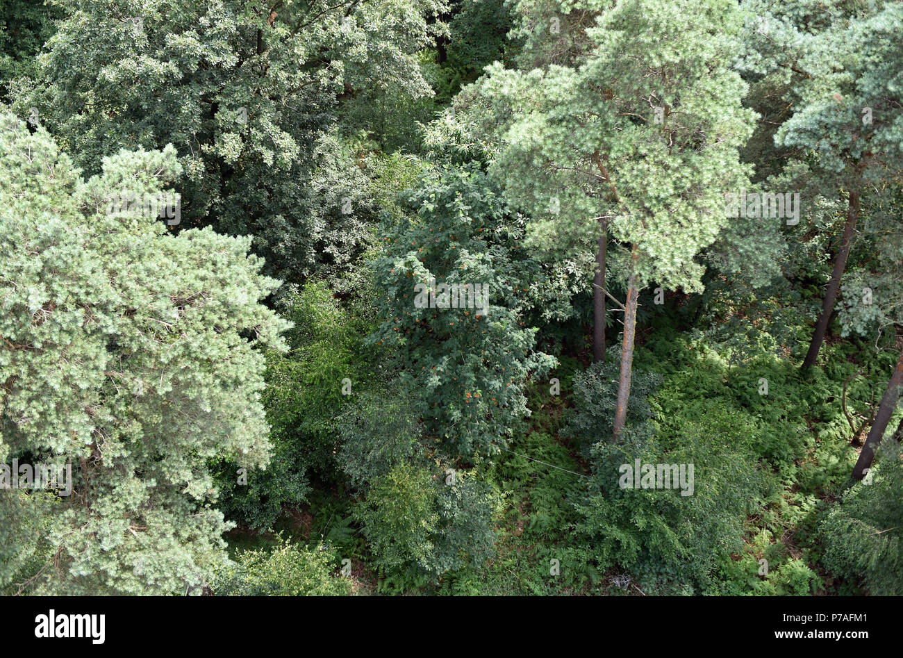 Feuerwachturm High Resolution Stock Photography And Images Alamy