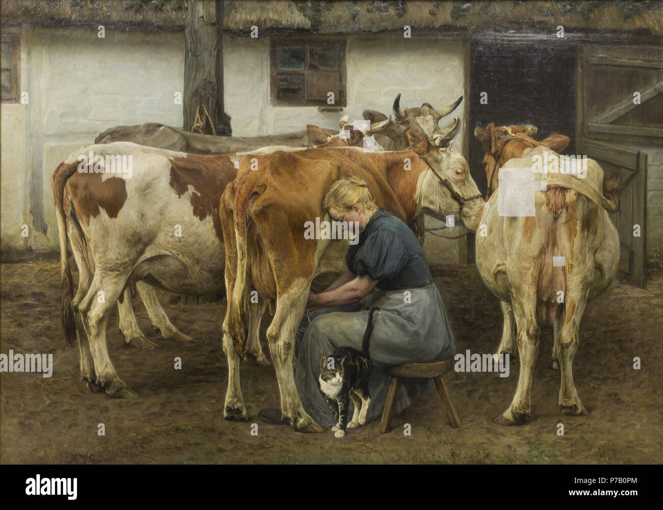 N.P. Mols (1859-1921), Koeerne malkes. Vestjylland, 1897-1899 58 N.P. Mols - Milking the Cows. West Jutland - KMS1659 - Statens Museum for Kunst Stock Photo