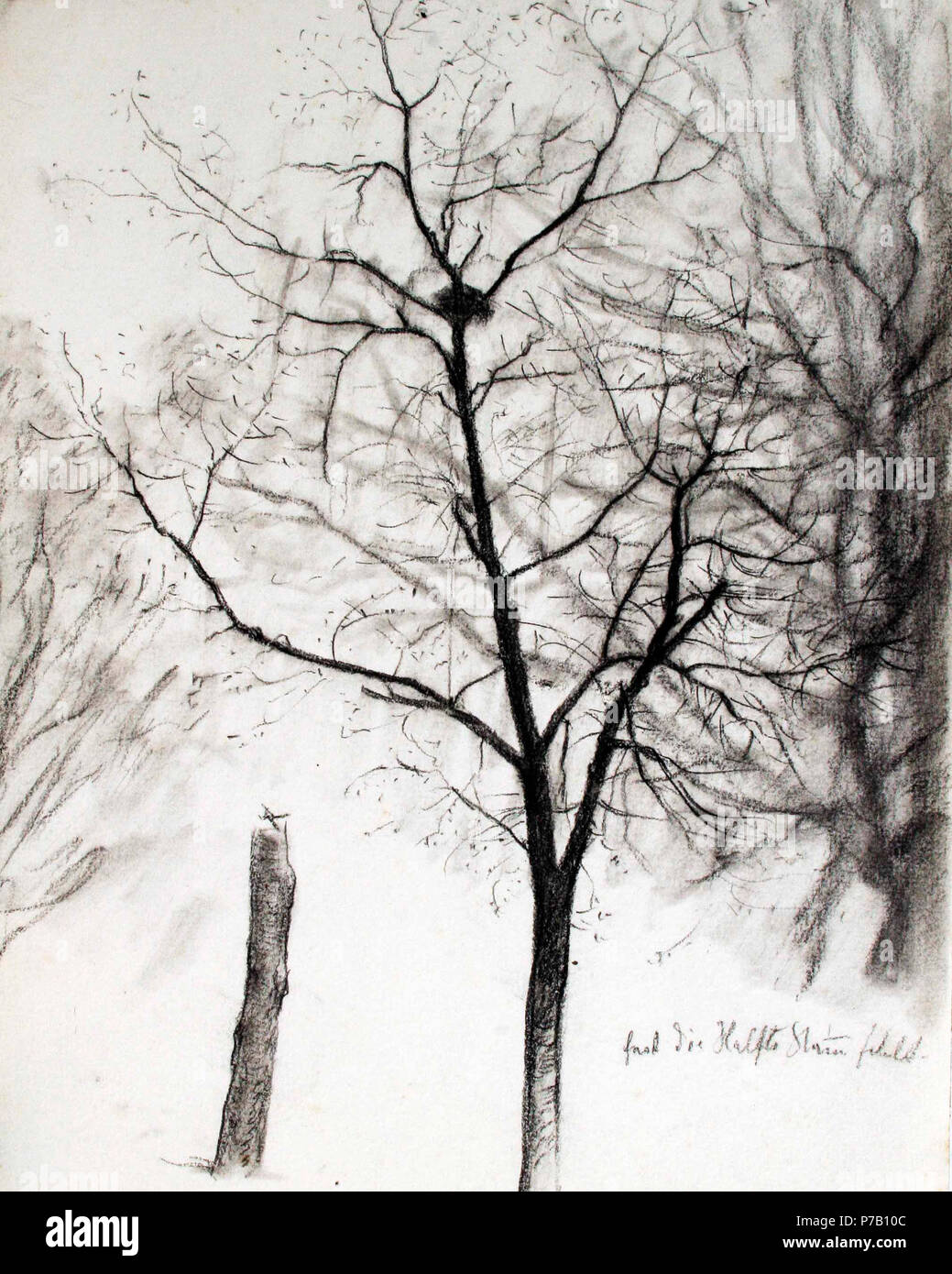 Deutsch: Baum, Skizze . before 1926 15 Baum Skizze Stock Photo
