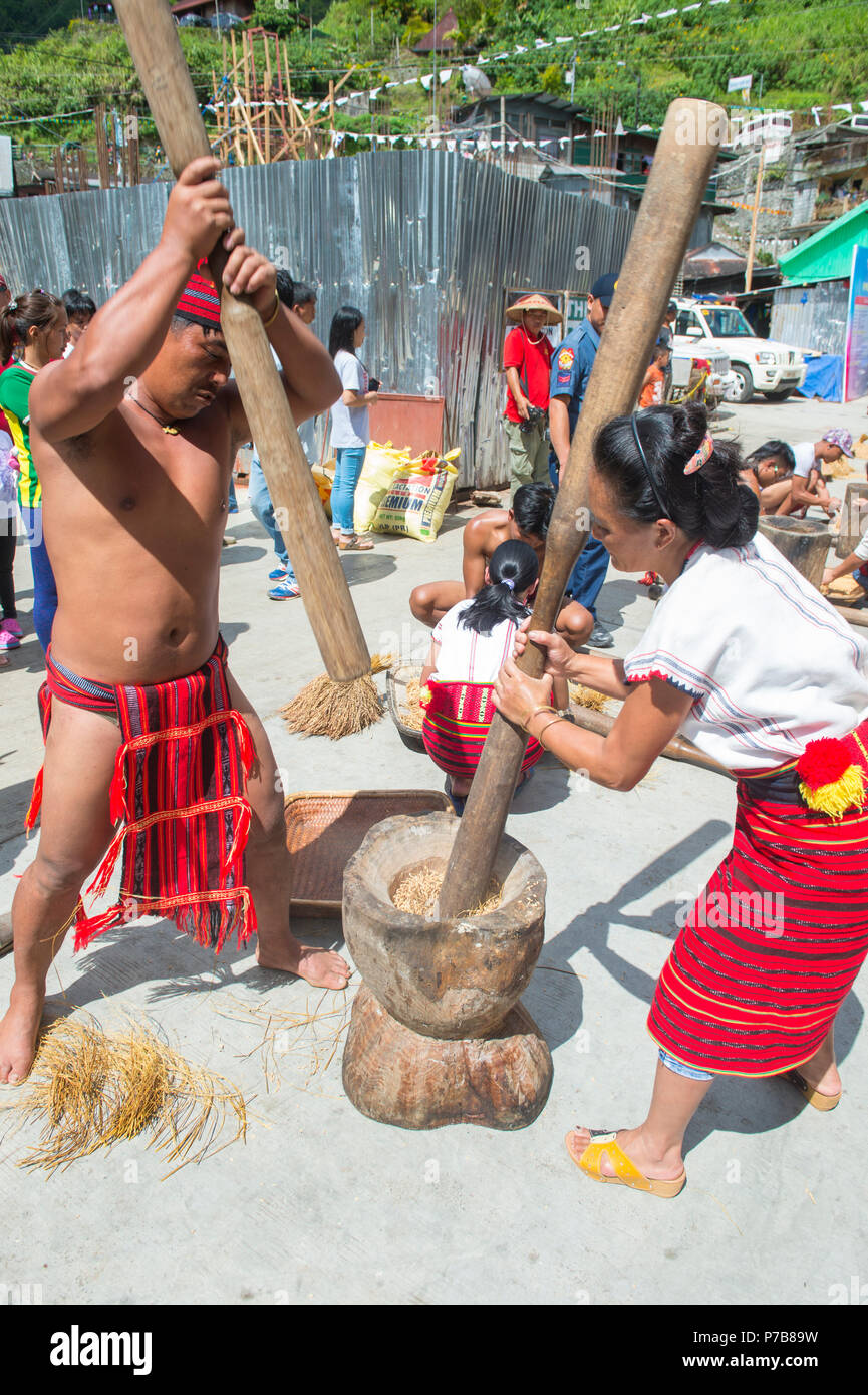 People from Ifugao Minority in a rice pounding competion during Imbayah ...