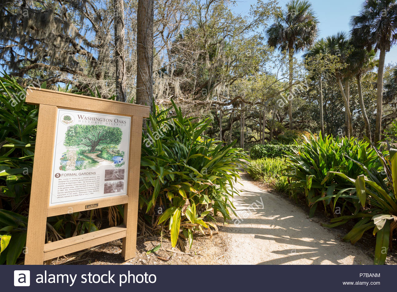 Washington Oaks Gardens State Park Palm Coast Florida Stock