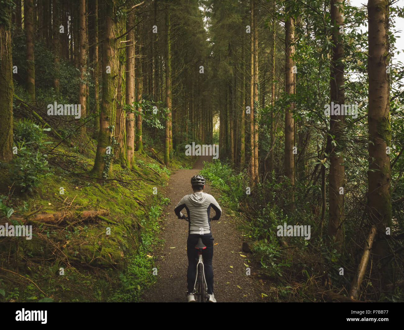 Cyclist on bicycle in lush forest Stock Photo