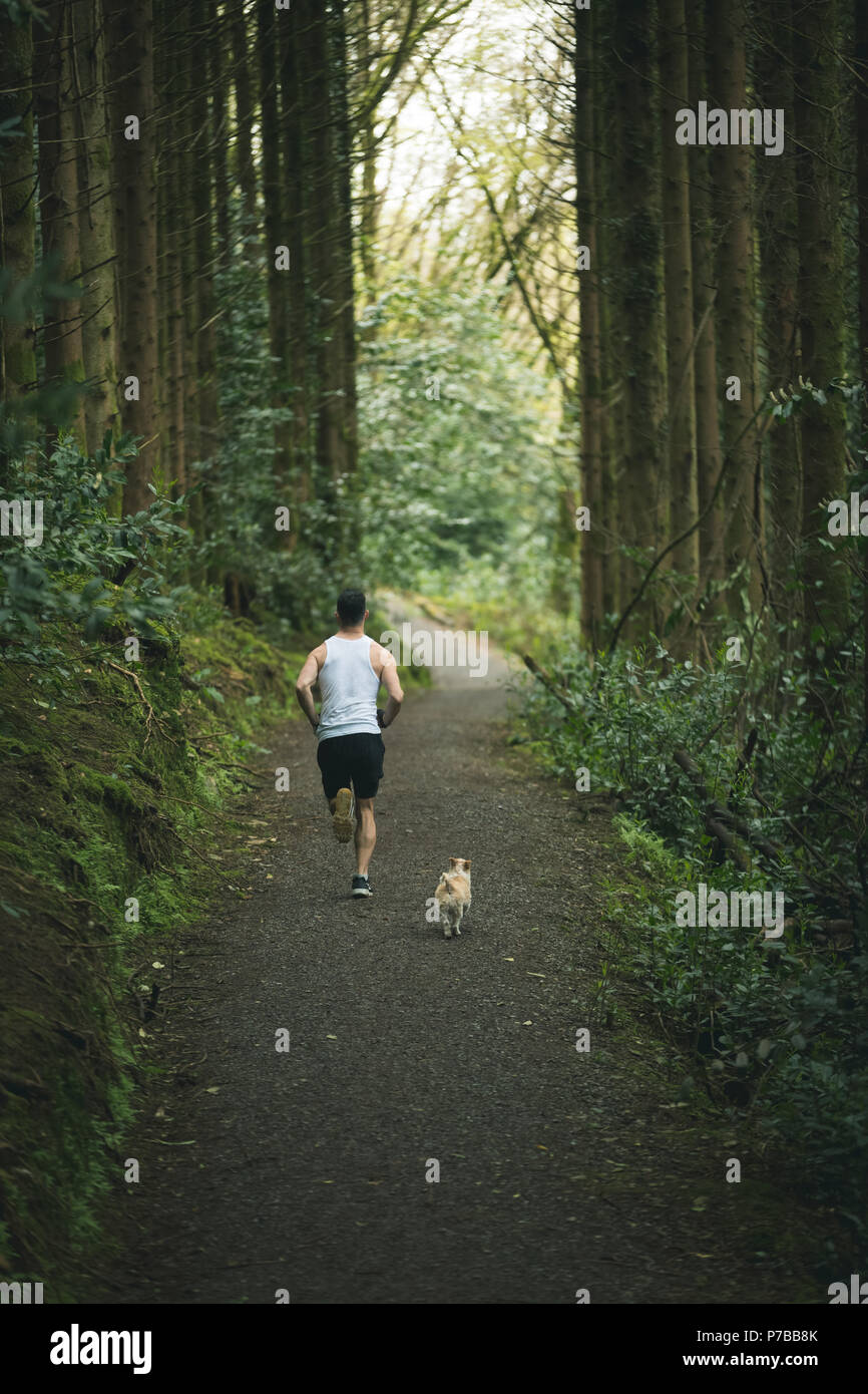 Man jogging with his dog in lush forest Stock Photo
