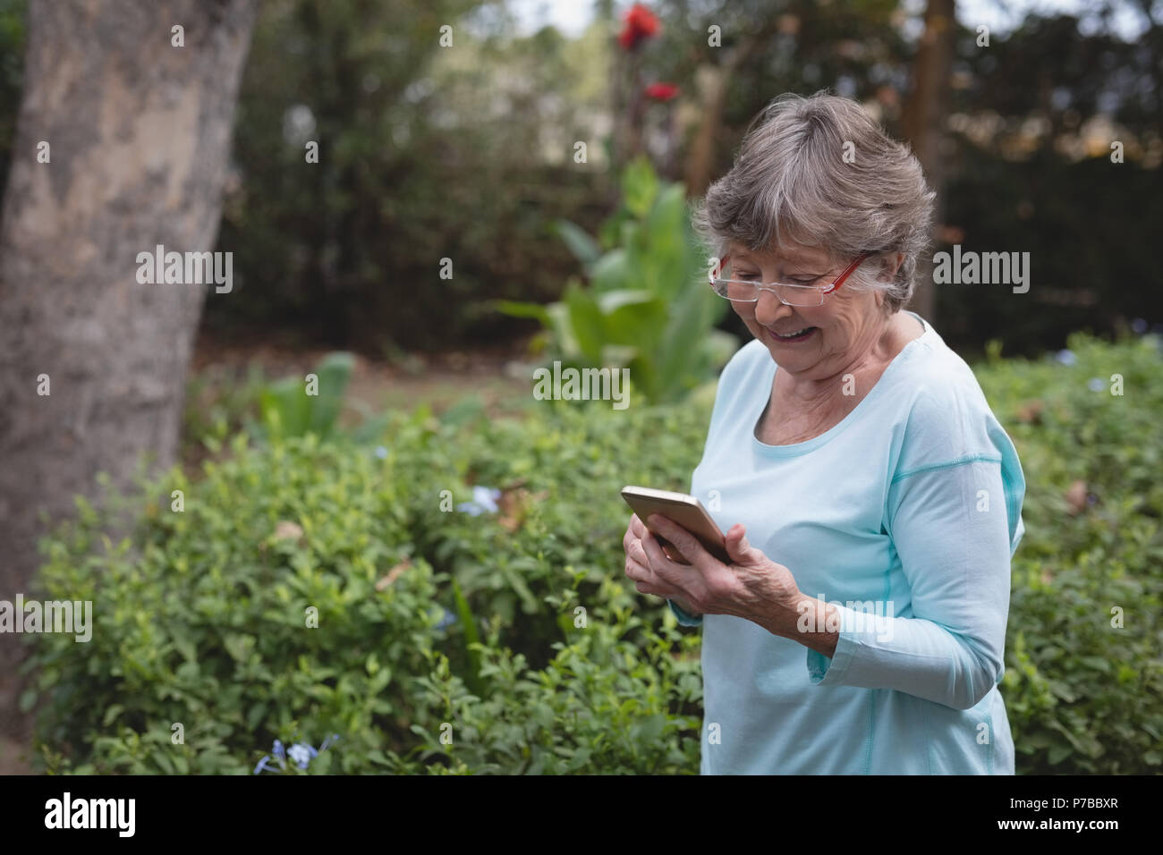 Senior woman using a mobile phone at the backyard Stock Photo