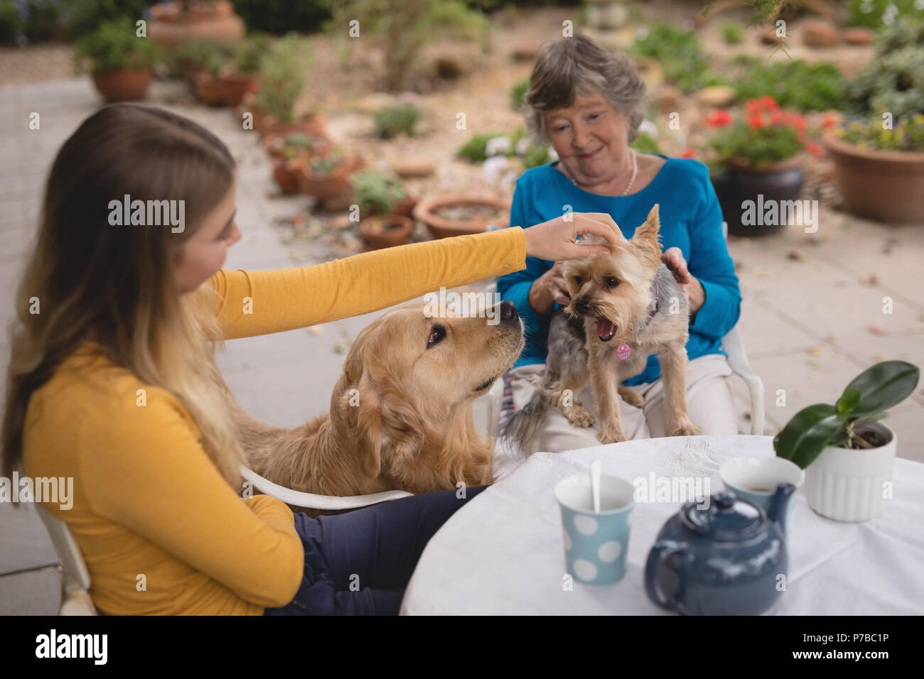Granddaughter and grandmother caressing dog Stock Photo