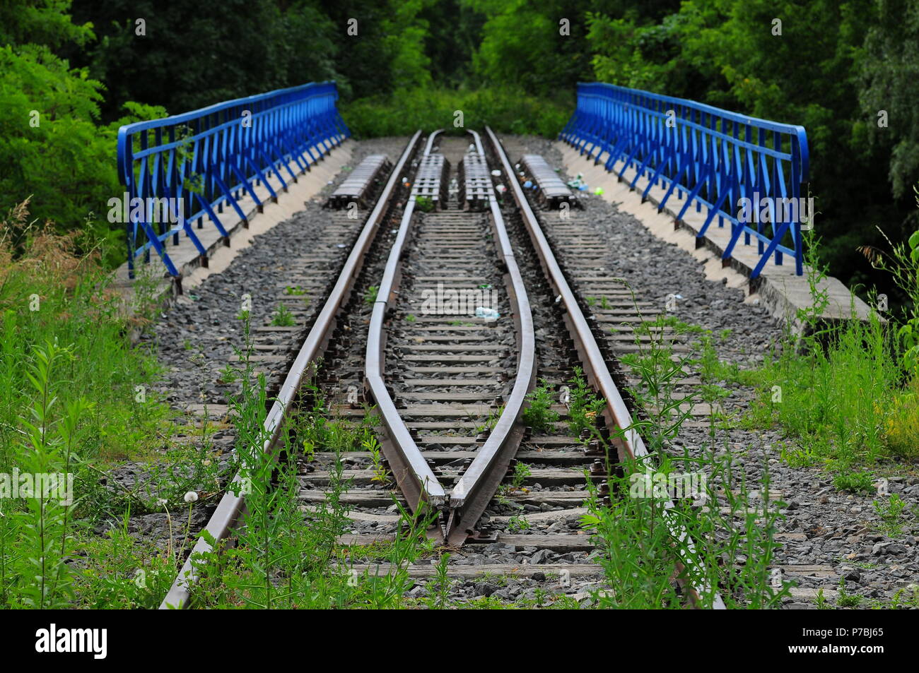 Abandoned railroad overgrown weeds hi-res stock photography and images ...