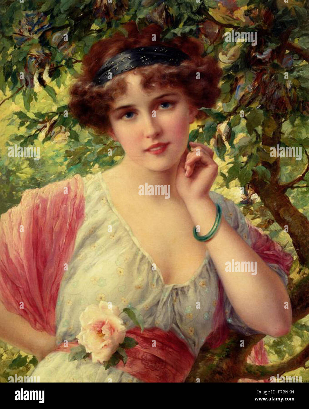 85 mile Vernon A Summer Rose Stock Photo Alamy