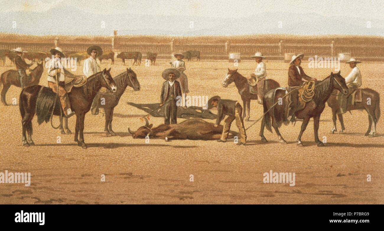 Branding iron marking cattle hi-res stock photography and images - Alamy
