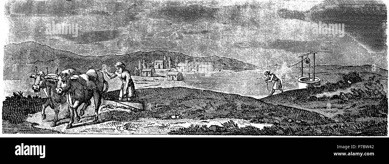 Historia sagrada. Pareja de bueyes arando la tierra. Grabado de 1862. Stock Photo