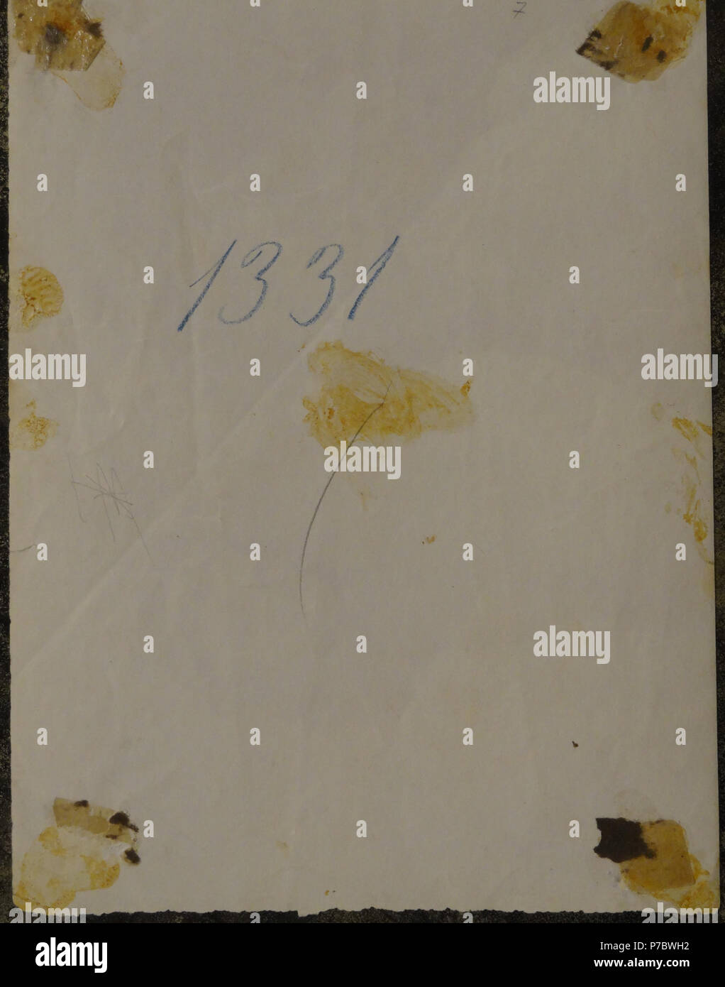 Tirage Albuminé Vintage Groupe Gloeden Circa 1890 - Format 17x22,5 Cm - Original