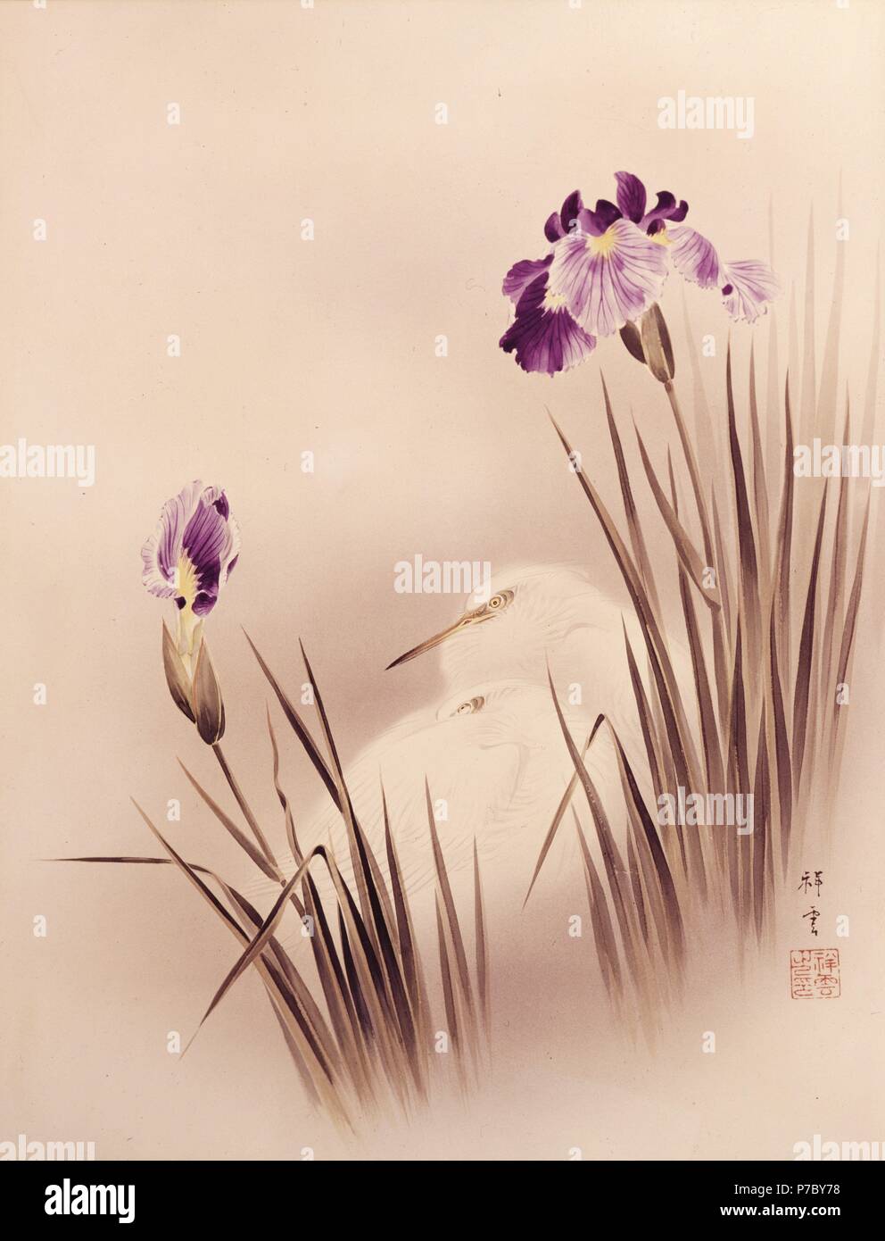 Aves de plumaje blanco tras unos juncos. Museum: FREE LIBRARY PHILADELPH EEUU Stock Photo - Alamy Aves de plumaje blanco tras unos juncos. Museum: FREE LIBRARY PHILADELPH EEUU Stock Photo - Alamy