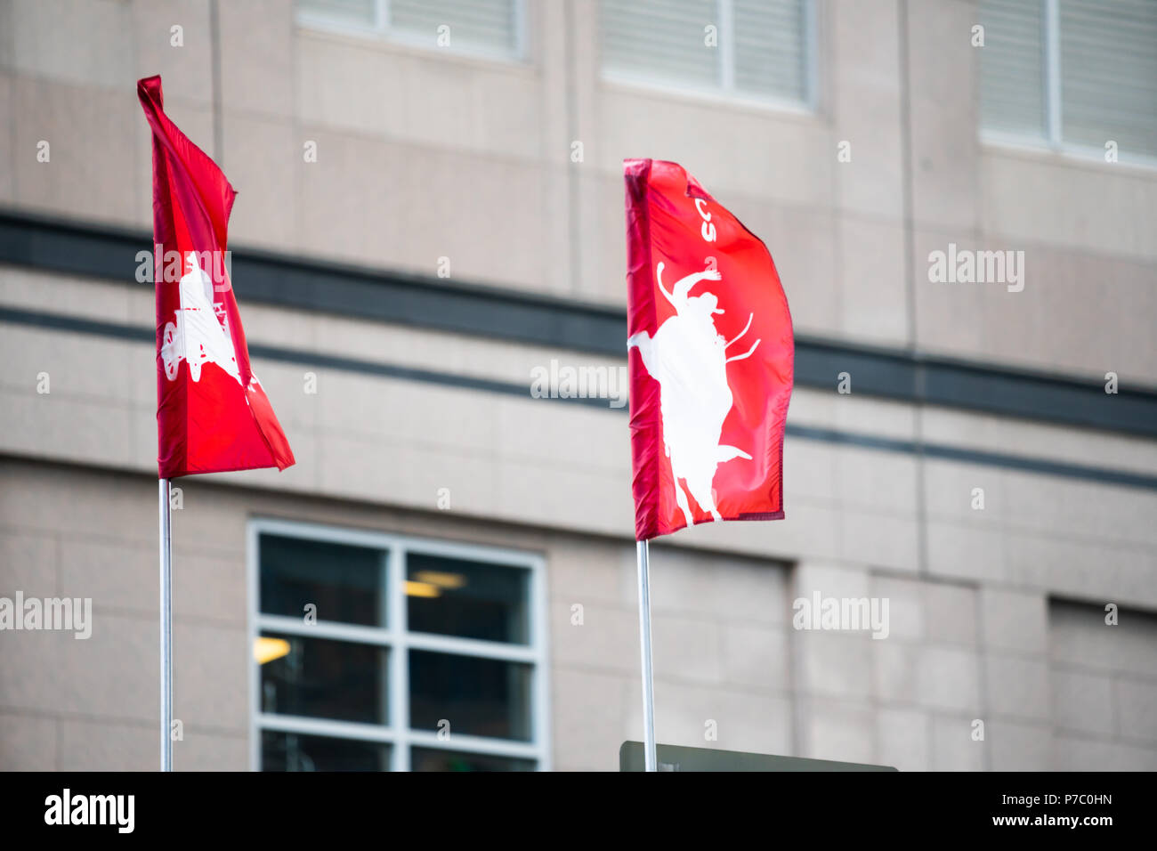 Calgary, Alberta Canada July 02 2018 Calgary Stampede Flags in