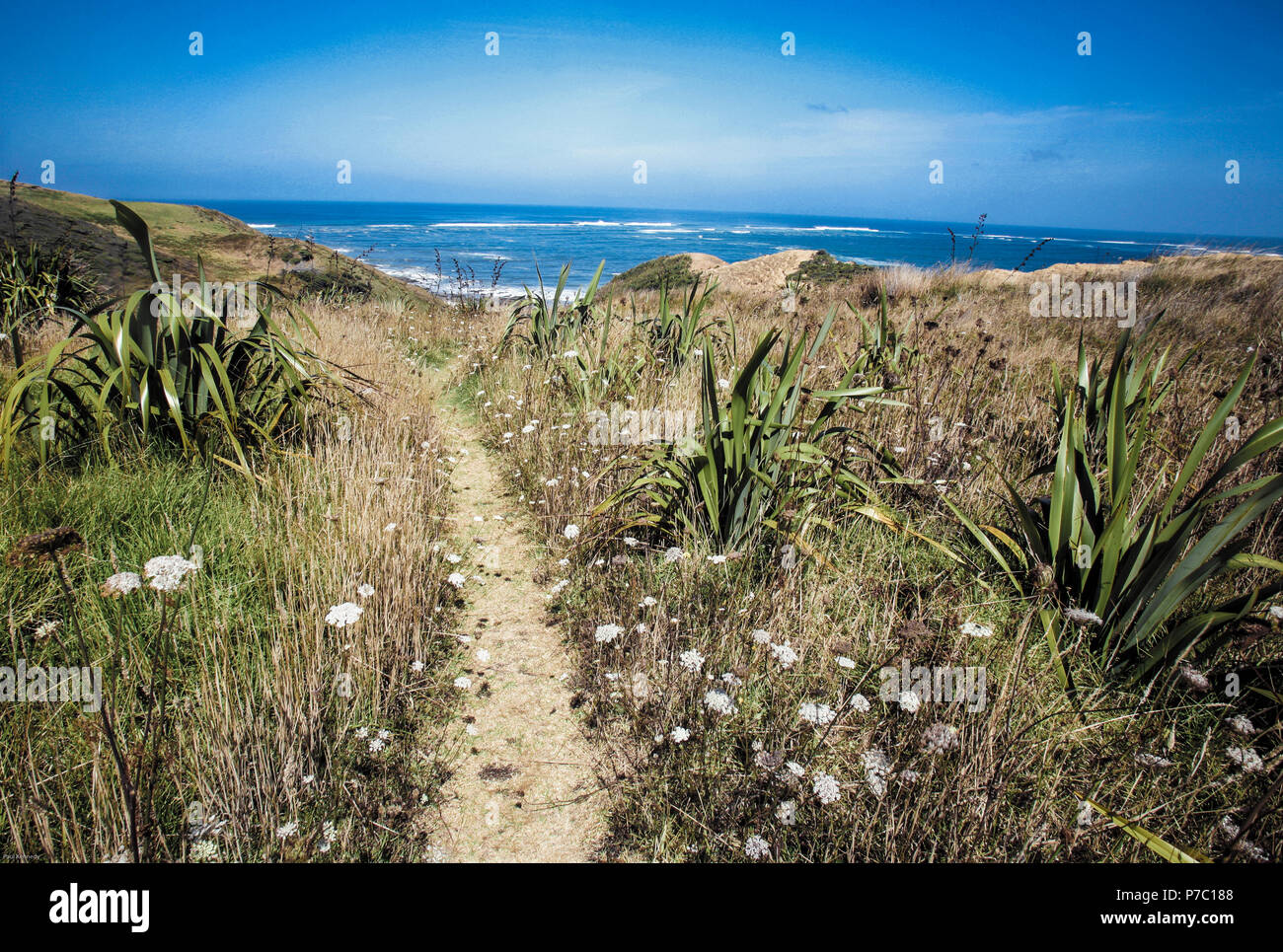 Scenic landscape and coastline at Opononi, Northland, New Zealand Stock ...