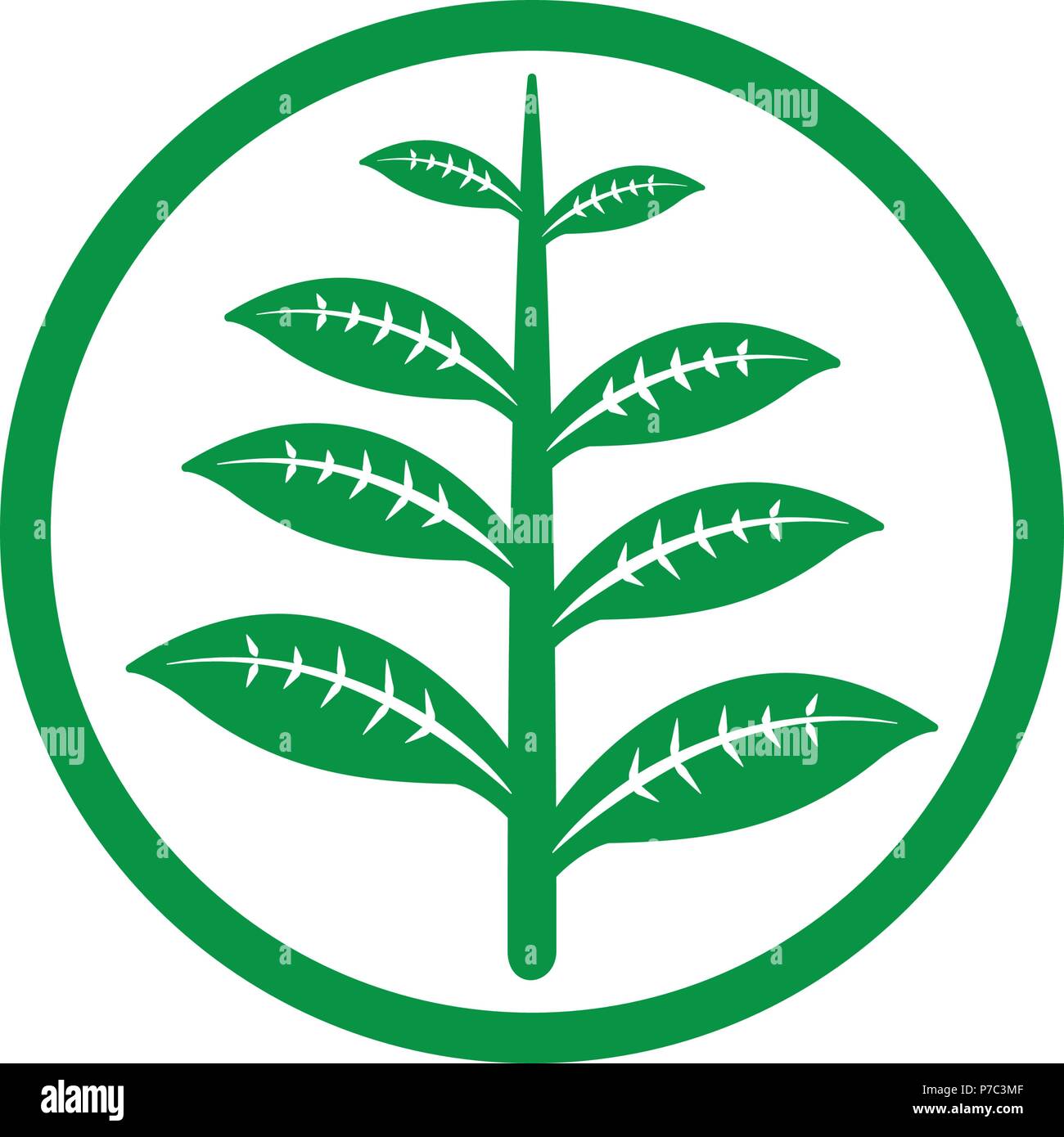 label madecine drug icon vector tempate Stock Vector