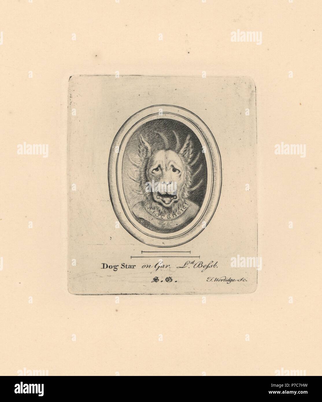 Portrait of Sirius, the Dog Star, of Greek mythology, on garnet from Lord Bessborough's collection. Copperplate engraving by Thomas Worlidge from James Vallentin's One Hundred and Eight Engravings from Antique Gems, 1863. Stock Photo