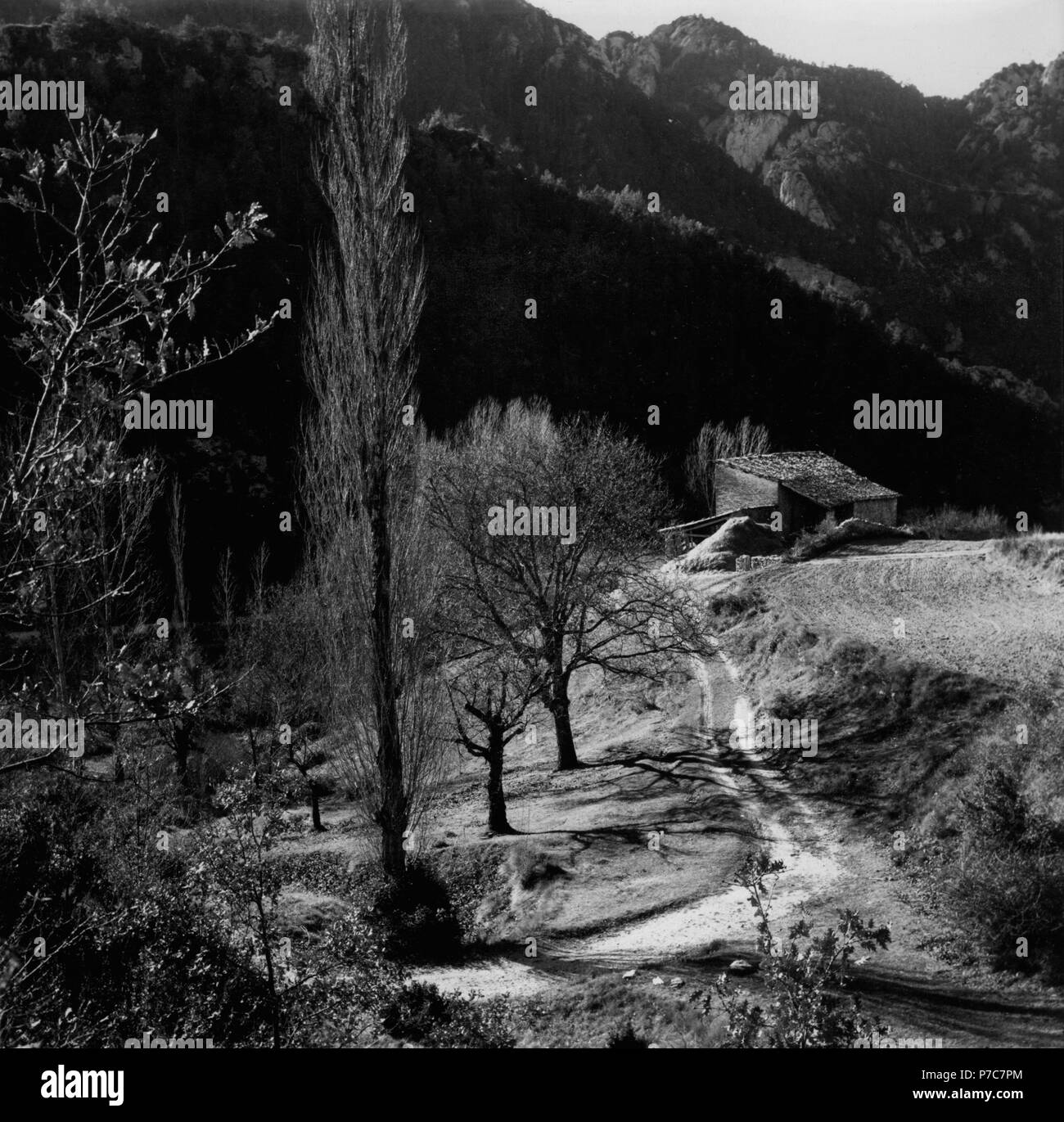Lleida. Solsonés. Un pajar en una zona rural de Sant Llorenç de Morunys. Año 1968. Stock Photo