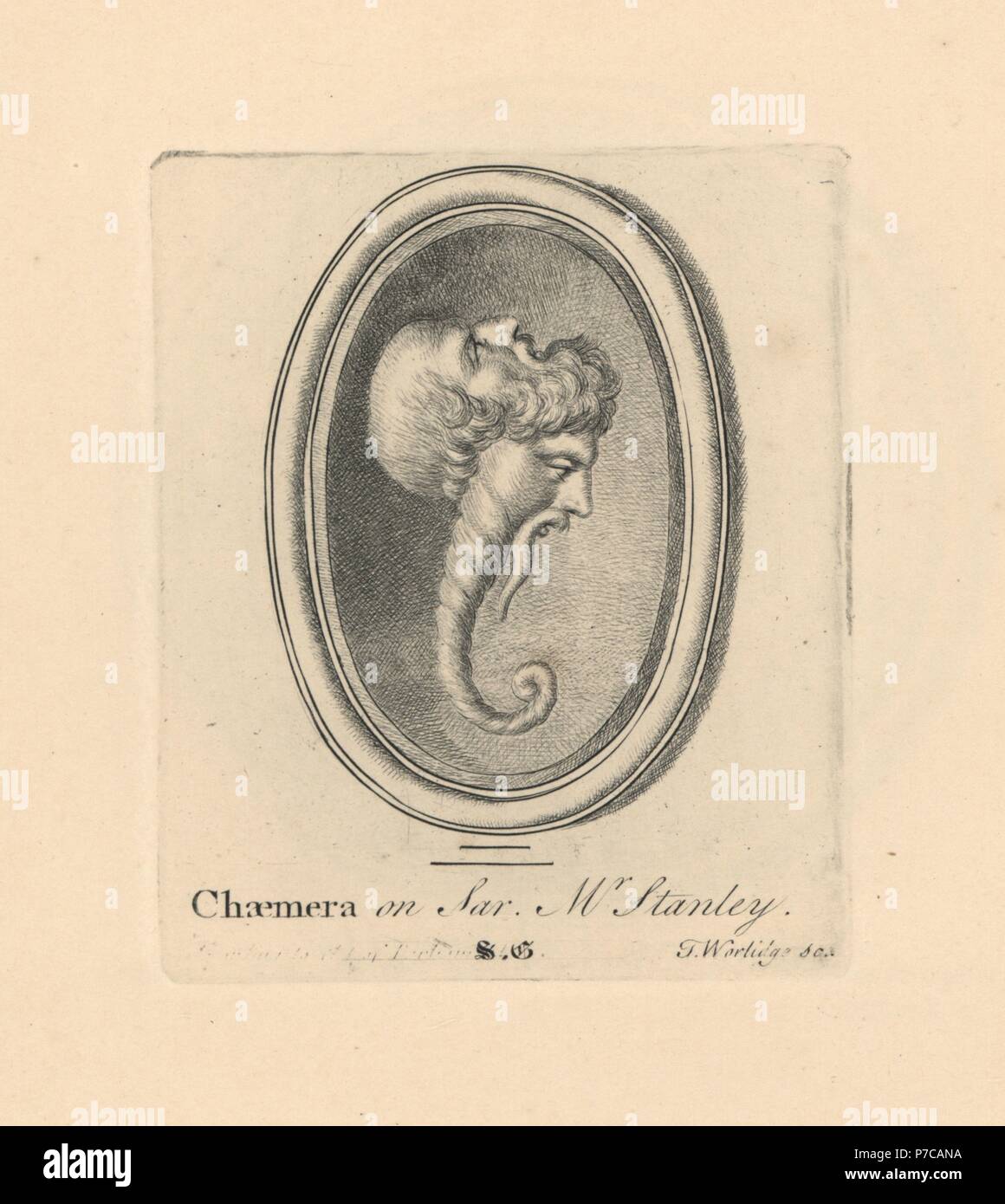 Portrait of a Chimera or Chaemera, monstrous hybrid with two heads, on sard from Mr. Stanley's collection. Copperplate engraving by Thomas Worlidge from James Vallentin's One Hundred and Eight Engravings from Antique Gems, 1863. Stock Photo