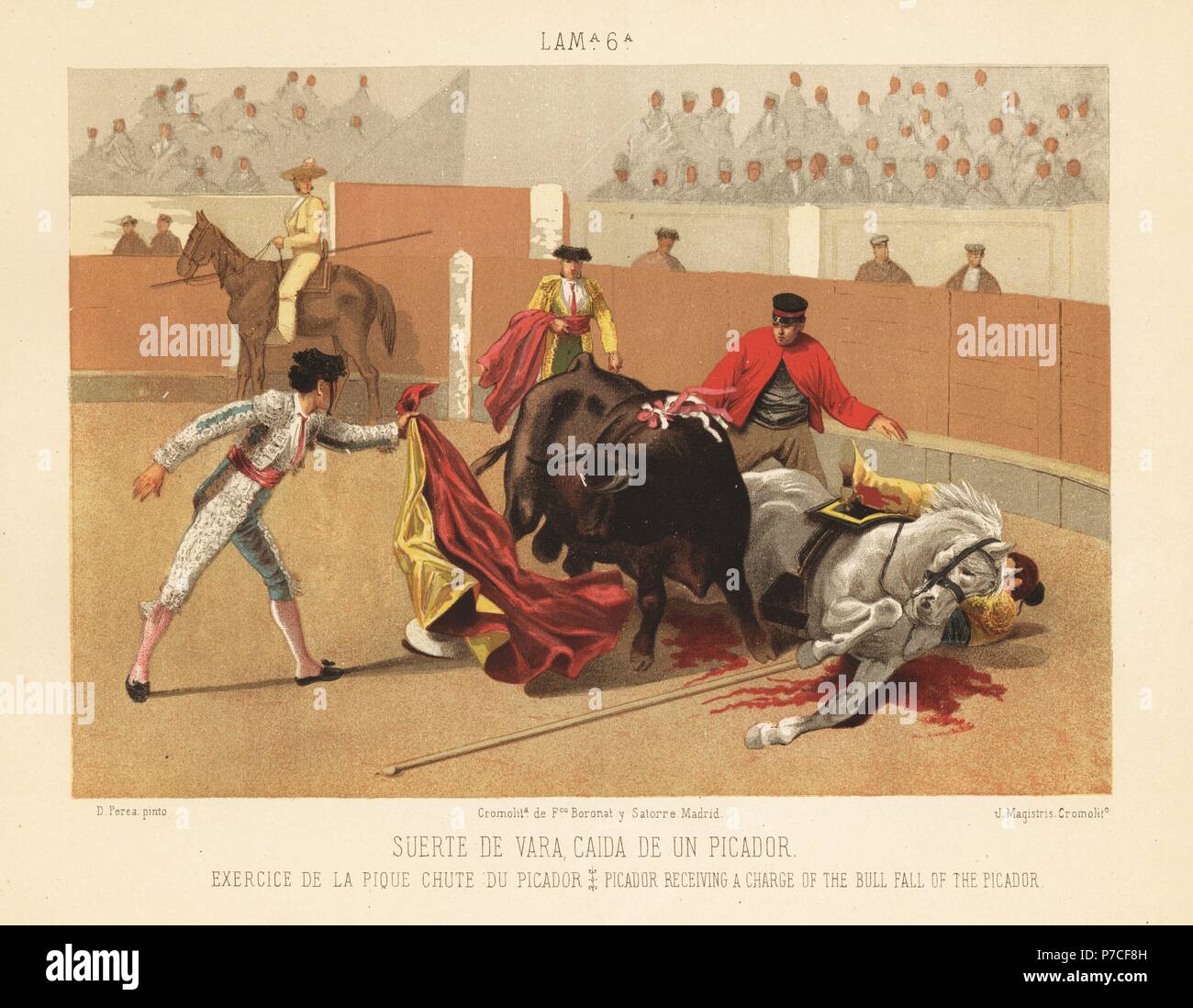 Matador with cloak distracting a bull after it has charged and injured a picador and his horse in the bullring. Chromolithograph by J. Magistris after an illustration by Daniel Perea from Bullfight, Corrida del Toros, Madrid, Boronat & Satorre, 1894. Stock Photo