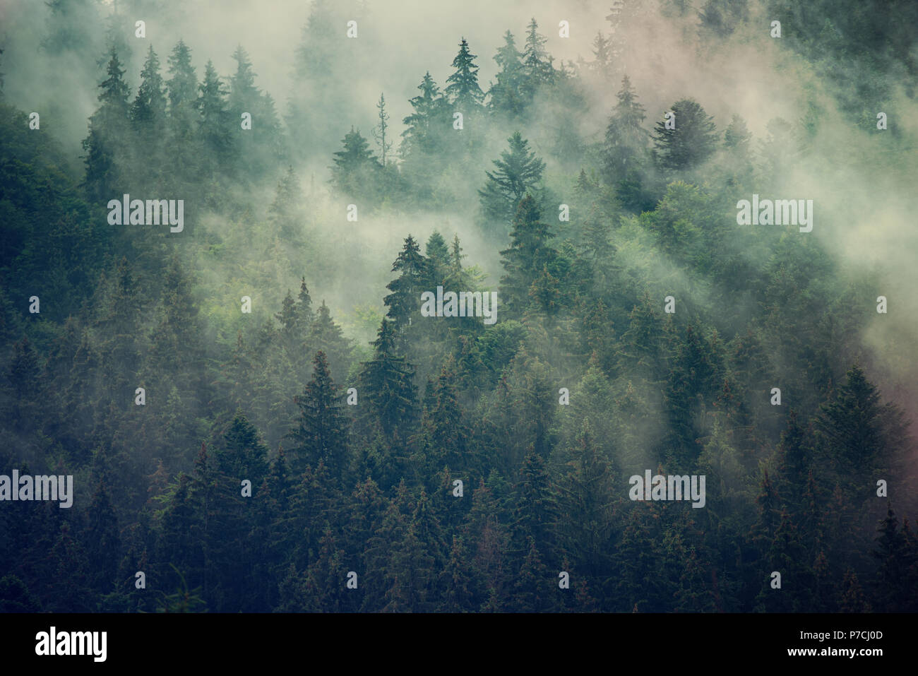 Misty mountain landscape Stock Photo - Alamy