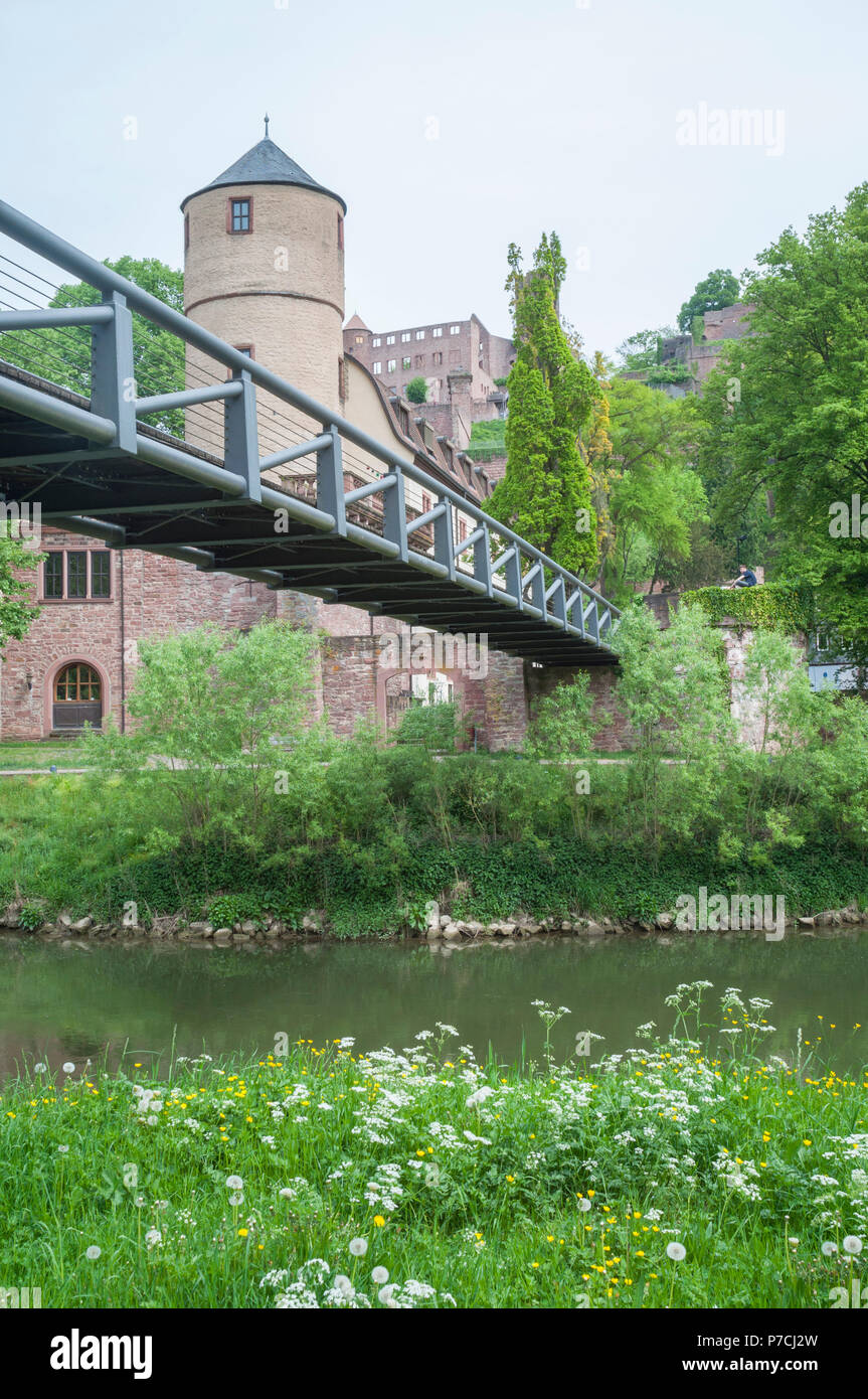 castle wertheim, Wertheim, Main-Tauber, Main river, Tauber river, Odenwald, Spessart, Baden-Wuerttemberg, Heilbronn-Franconia, Germany Stock Photo