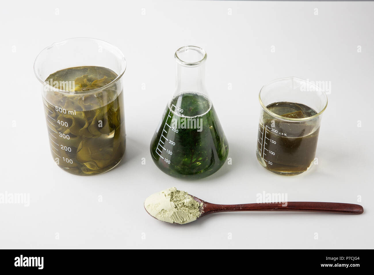 Object photos seaweed, its rich in vitamins, minerals, and fiber. 120 Stock Photo Alamy