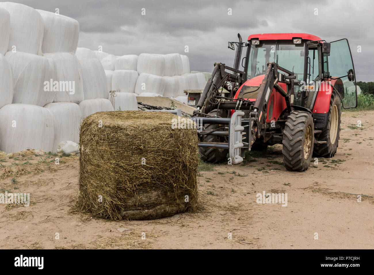 Unpacked from the membrane a silage bale and a tractor with a forklift