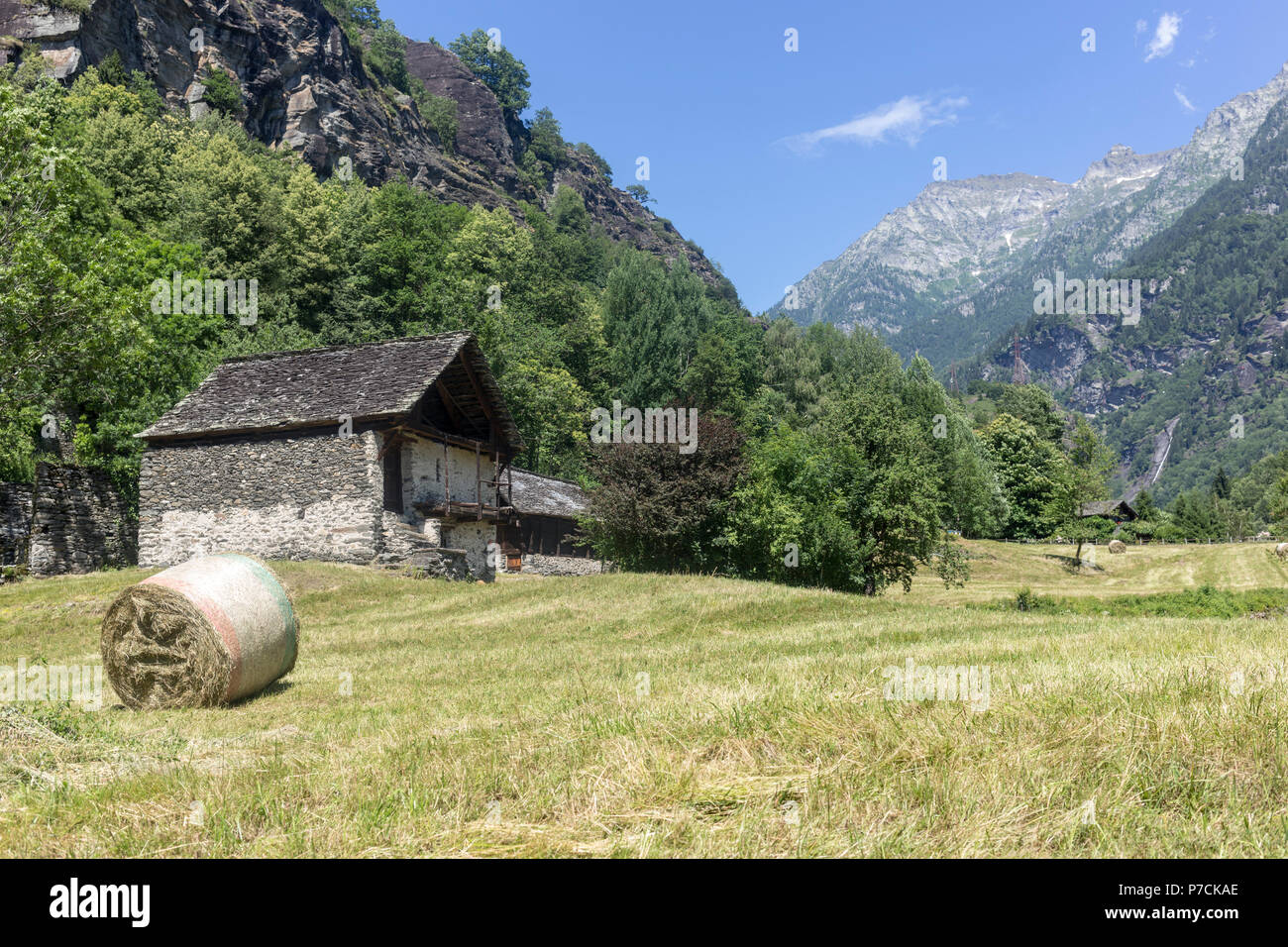 summer landscapes with hay bales Stock Photo - Alamy