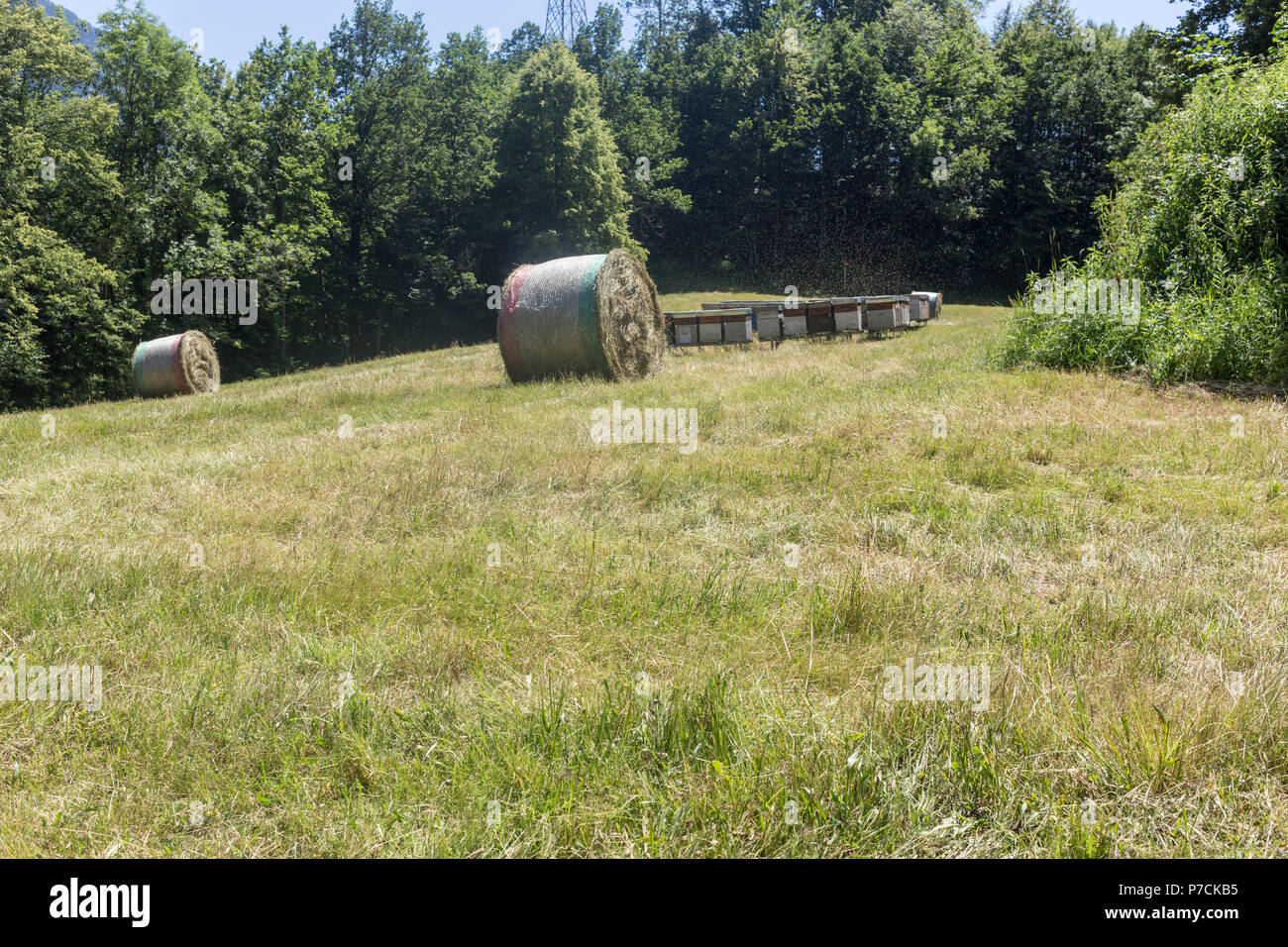 Hay bales summer landscape hi-res stock photography and images - Alamy