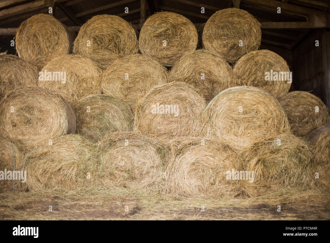 Gardensite hi-res stock photography and images - Alamy