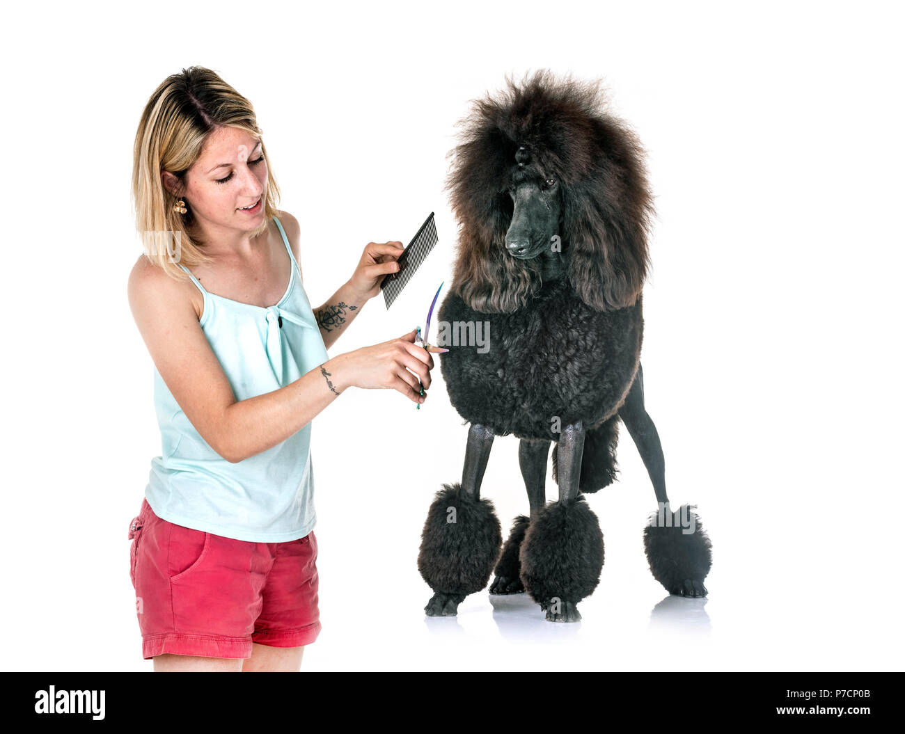 black standard poodle and woman in front of white background Stock Photo
