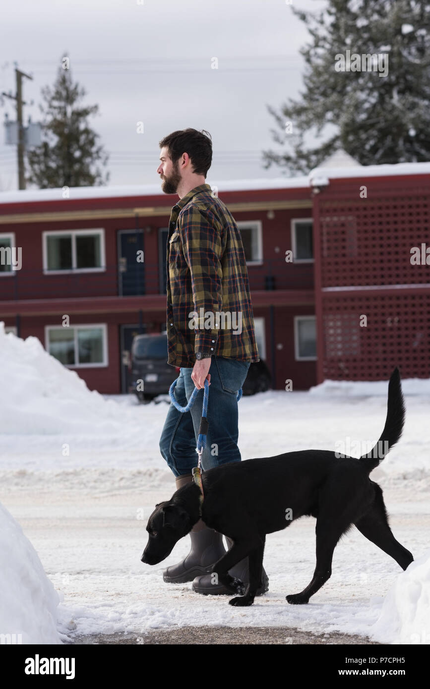 Dog With Leash High Resolution Stock Photography and Images Alamy