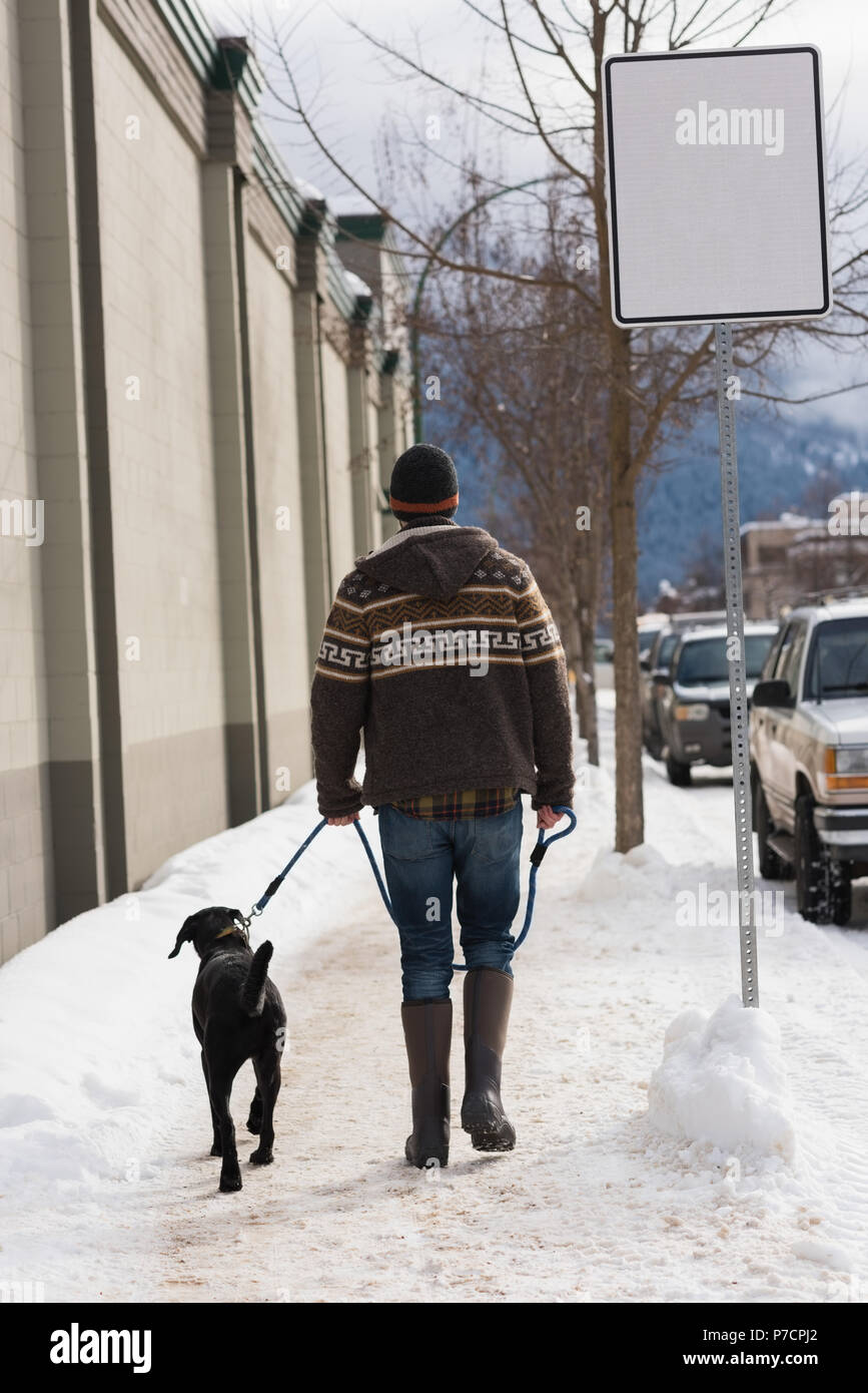 Man walking with his dog on sidewalk Stock Photo Alamy